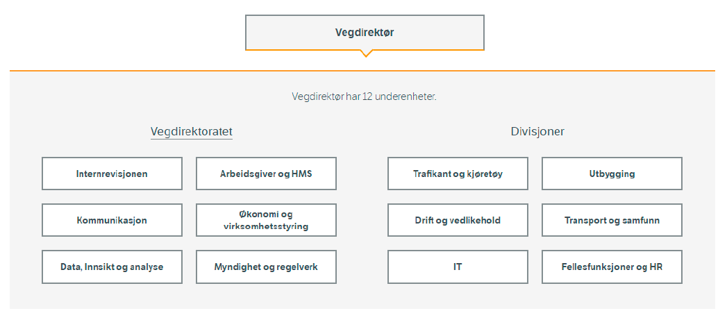 Organisasjonskart med bokser, under vegdirektøren.